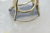 14K YG "1711" Dated Silver Queen Anne Shilling Ring Size 5 Circa 1970