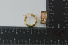 14K Tri-Color Gold Italian Animal Hoop Earrings with hinged locking Posts