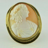 Antique 14K Yellow Gold Magnificent Shell Cameo Oval Pin Circa 1890