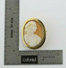 Antique 14K Yellow Gold Magnificent Shell Cameo Oval Pin Circa 1890