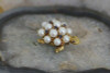 18K Yellow Gold "Turtle" Brooch/Pin with Rubies and Pearls