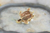 18K Yellow Gold "Turtle" Brooch/Pin with Rubies and Pearls