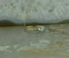 Vintage 14K Pink and White Gold Crystal Deco Ring Size 5.75 Circa 1930