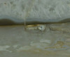 Vintage 14K Pink and White Gold Crystal Deco Ring Size 5.75 Circa 1930