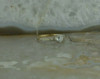 Vintage 14K Pink and White Gold Crystal Deco Ring Size 5.75 Circa 1930