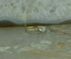 14K White and Yellow Gold European Crystal Deco Ring Size 7.25 Circa 1930