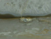 14K White and Yellow Gold European Crystal Deco Ring Size 7.25 Circa 1930