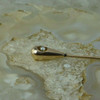 Antique 14K Yellow Gold Pearl Set Stick Pin Circa 1920