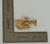 14K Yellow Gold Lobster Pin with Locking Clasp, Nicely Cast, Circa 1970