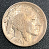 1913 type II Buffalo Head Nickel
