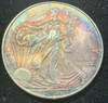 2009 American Silver Eagle Toned, Coin no.2