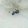 14K White Gold Star Sapphire Stud Earrings with Screw Backs