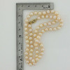 5.8 - 6.2mm Freshwater Pearl Strand 16.75 Inches Length 14K Yellow Gold Clasp