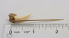 10k Yellow Gold Victorian Period Stick Pin with Animal Tooth