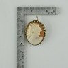 Gold Filled Shell Cameo Pin Pendant Circa 1960