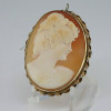 Gold-filled Shell Cameo Pin Pendant Twisted Border Oval Carving