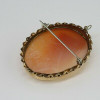 Gold-filled Shell Cameo Pin Pendant Twisted Border Oval Carving