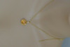 18K Yellow Gold "Iridesse" Citrine and Diamond Pendant on 17" Chain