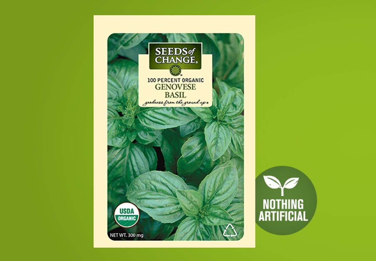 SEEDS OF CHANGE ORGANIC GENOVESE BASIL SEEDS The Grow Shop