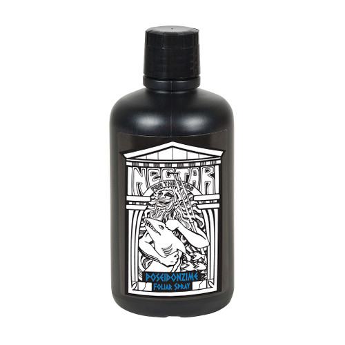 Poseidonzime, qt Poseidonzime, qt