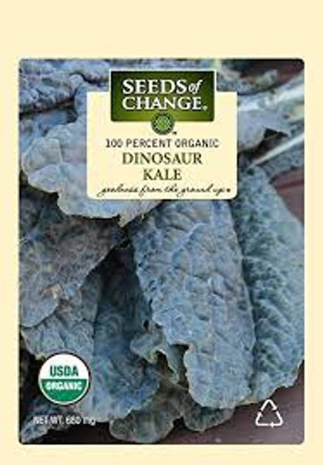 Seeds of Change Organic Dinosaur Kale