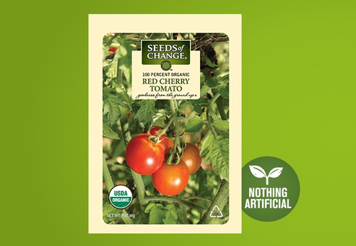 This variety produces prolific, indeterminate vines that bear large, red cherry tomatoes with rich, full-bodied, mildly acidic flavor. Vines need staking. This variety produces prolific, indeterminate vines that bear large, red cherry tomatoes with rich, full-bodied, mildly acidic flavor. Vines need staking.