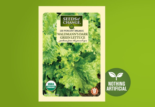 The “gold standard” of green loose leaf lettuce for its vigor, reliability, bolt resistance and excellent flavor, this variety yields big and fast in spring and fall. The “gold standard” of green loose leaf lettuce for its vigor, reliability, bolt resistance and excellent flavor, this variety yields big and fast in spring and fall.