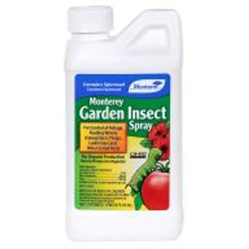 Monterey Garden Insect Spray uses Spinosad to effectively control thrips, leafminers, fire ants, diamond-back moths, borers and more. Gardeners mix four tablespoons of concentrated liquid Monterey Garden Insect Spray to one gallon of water (or as much as is needed for a single treatment) for easy foliar applications. Derived through fermentation of a naturally occurring soil bacterium, this fast-acting insecticide can be used on fruit and vegetable crops, ornamentals and turf.
