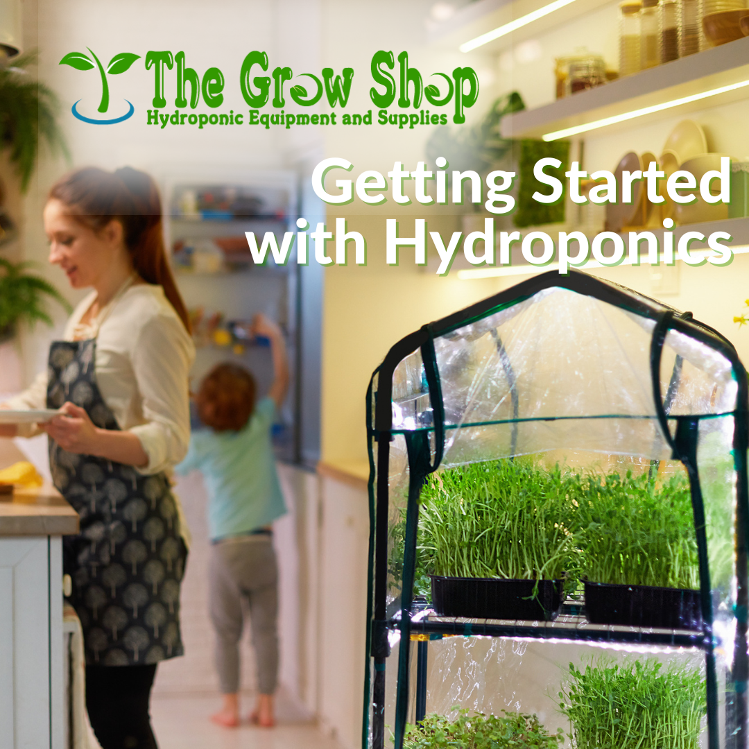 Guided Tour - The Hydrostone, Shoptalk