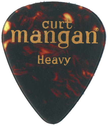 Heavy Tortoise Shell Pick