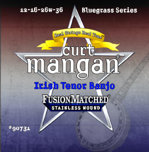 Irish Tenor Banjo Stainless