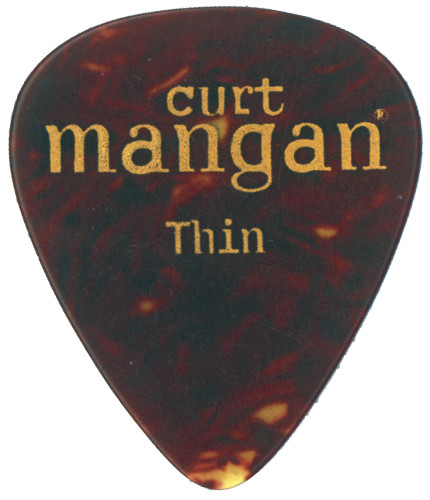Thin Tortoise Shell Pick
