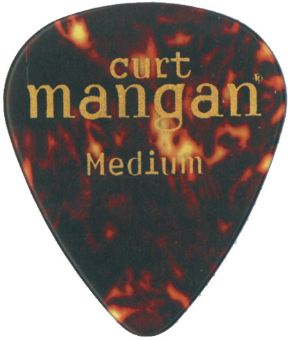 Medium Tortoise Shell Pick