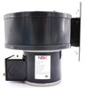 50752-D230 Centrifugal Blower (230V) | Replaces Dayton 1TDP6 | NBK-20497