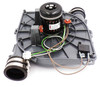 NBK-20289 Draft Inducer Blower Motor 115V | Direct Replacement for Carrier 320725-757 & Packard 66757