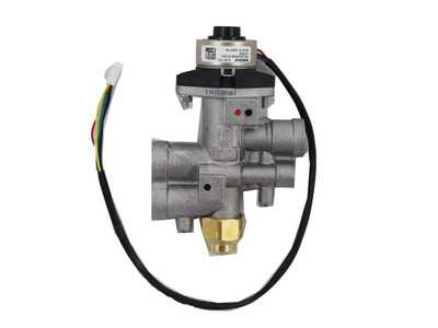 IHP F2695 Ecoflow Gas Valve Assembly | Fits Astria & Superior