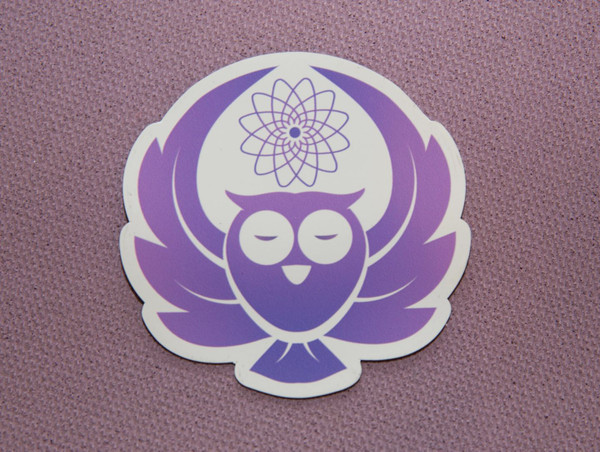 Owl: Crown Chakra Animal