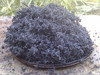 SIGRATHERM GFG20 Expanded Graphite Powder, 15.3 Lb Bag - View 2
