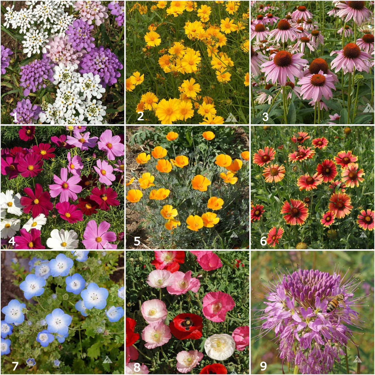 Potting Shed Creations Scatter Garden Honeybee - Thumbnail 5