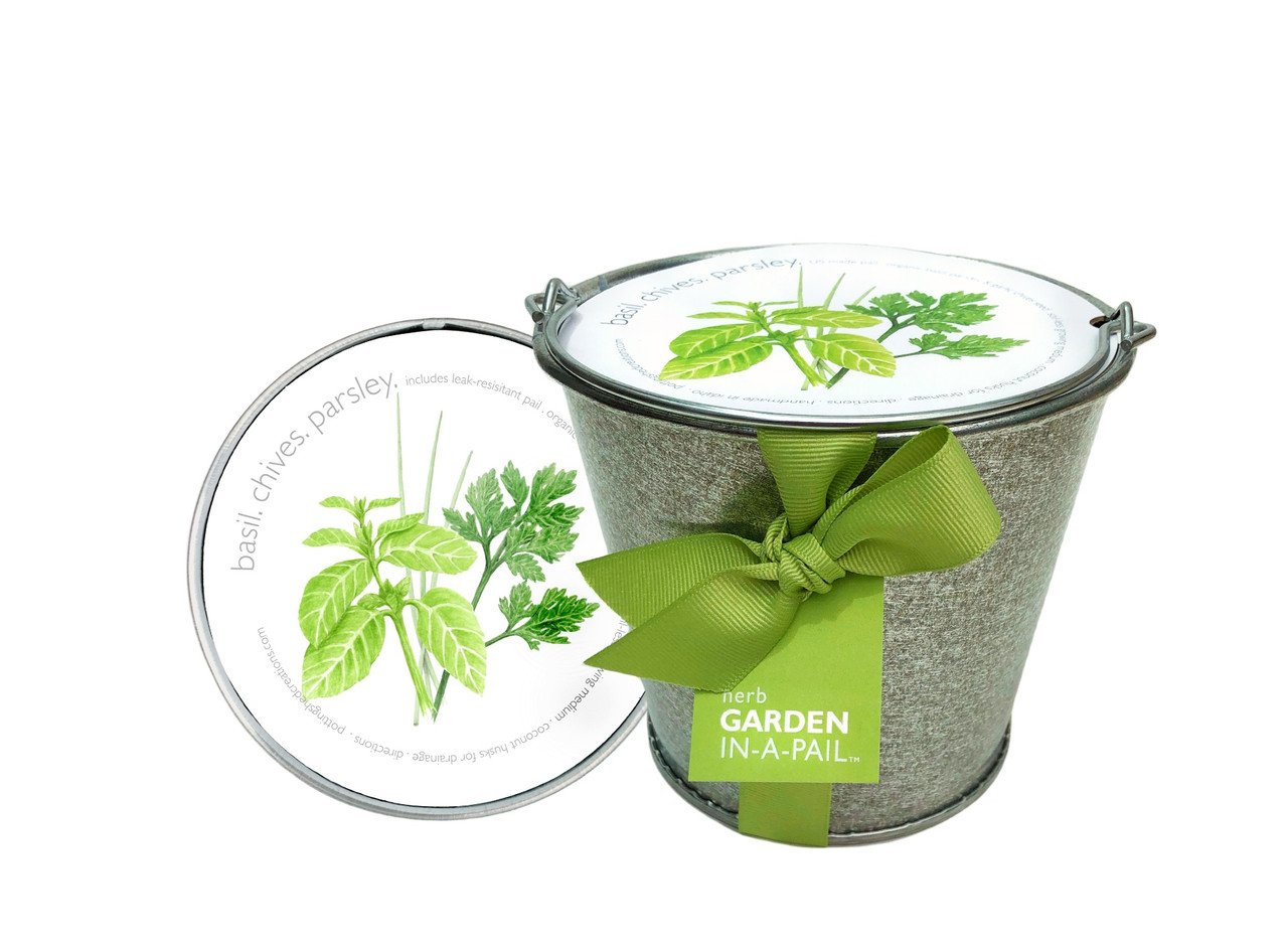 Garden-in-a-pail Herbs