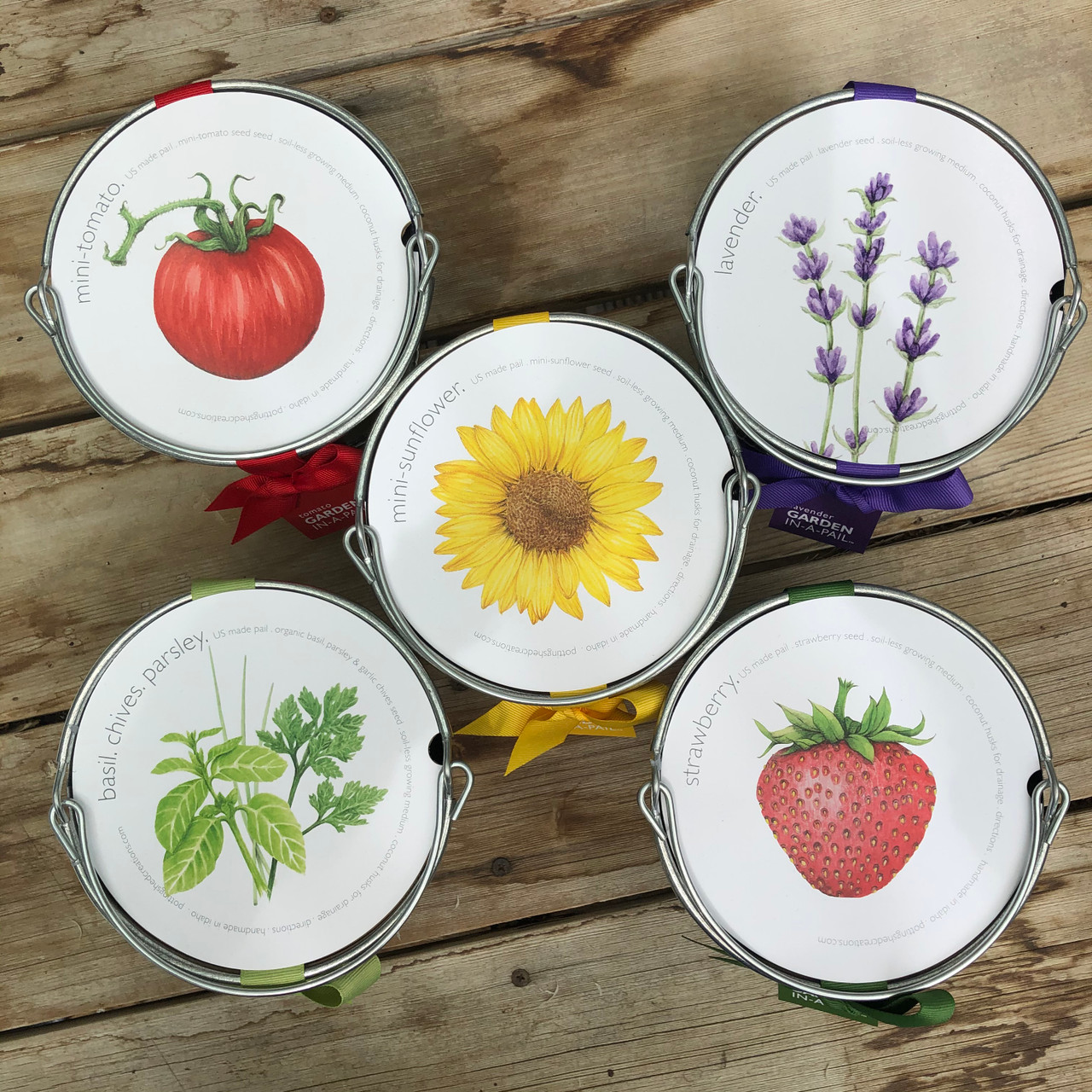 Garden-in-a-pail Herbs - Thumbnail 3