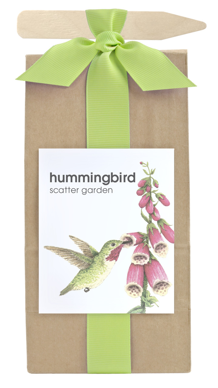 Scatter Garden Hummingbird