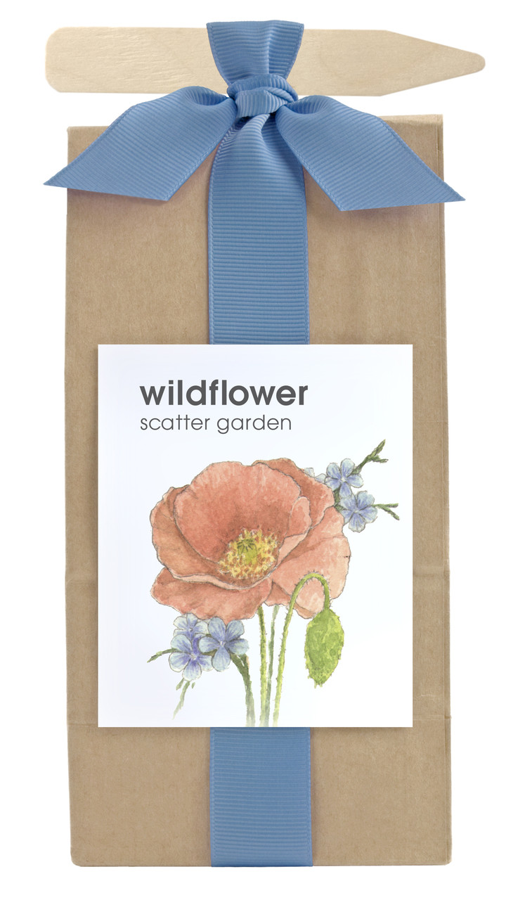 Scatter Garden Wildflower