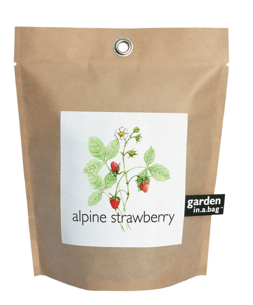 Garden-in-a-bag Strawberry - Potting Shed Creations, LTD