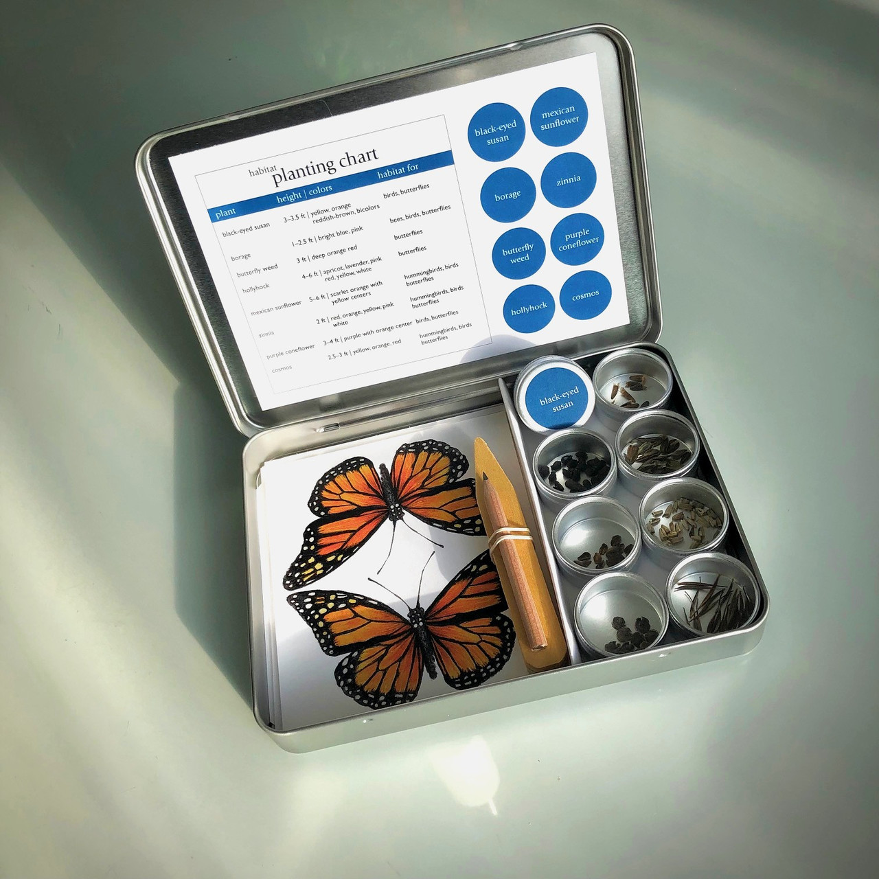 Garden Maker Butterfly - Thumbnail 3