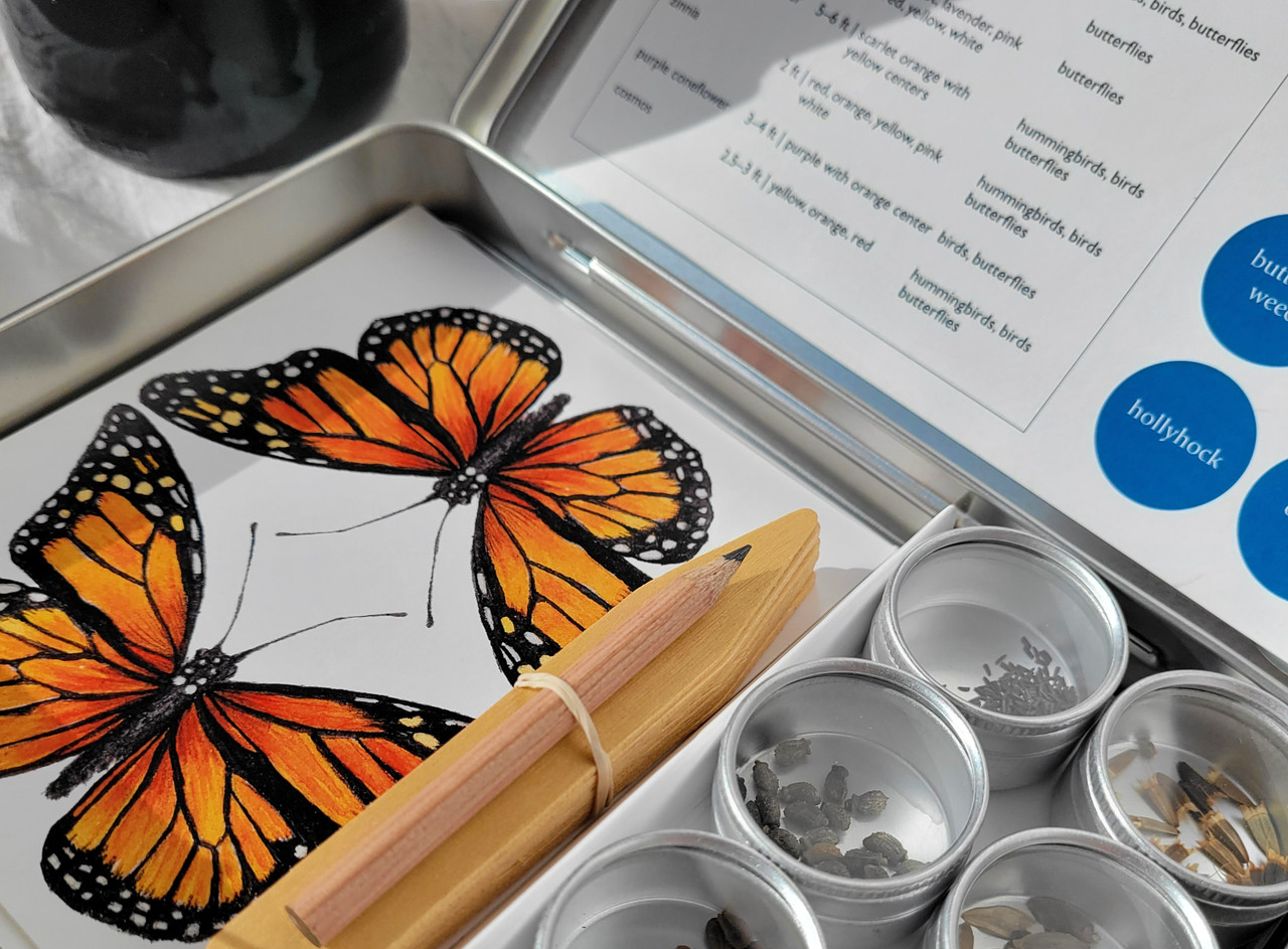 Garden Maker Butterfly - Thumbnail 4