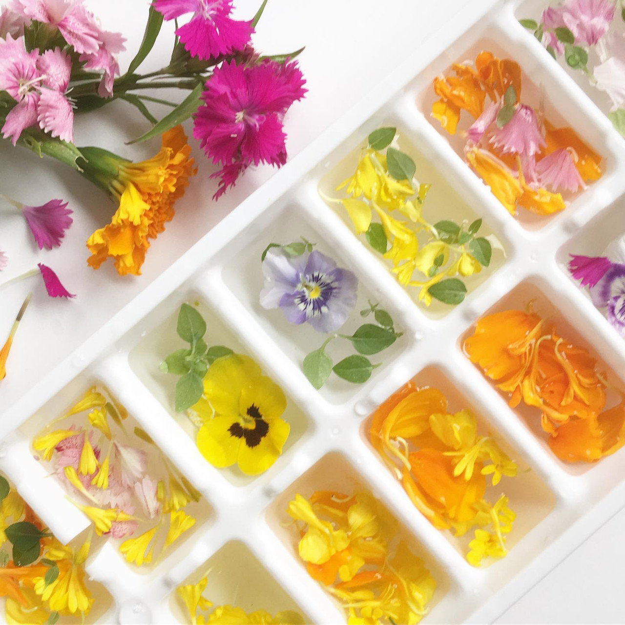 Edible Flower Pockets | Potting Shed Creations