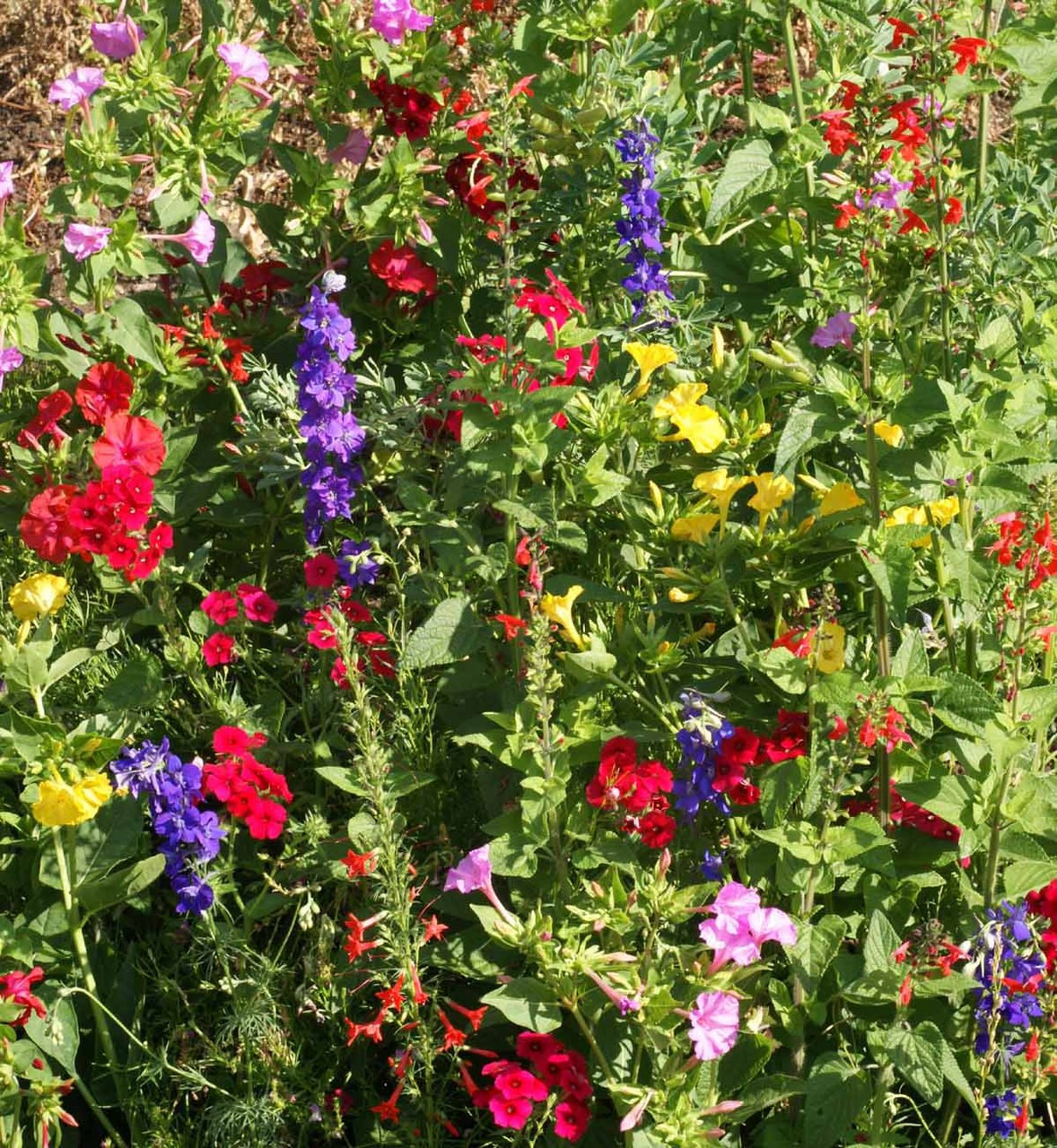 Potting Shed Creations Garden Sprinkles Hummingbird - Thumbnail 2