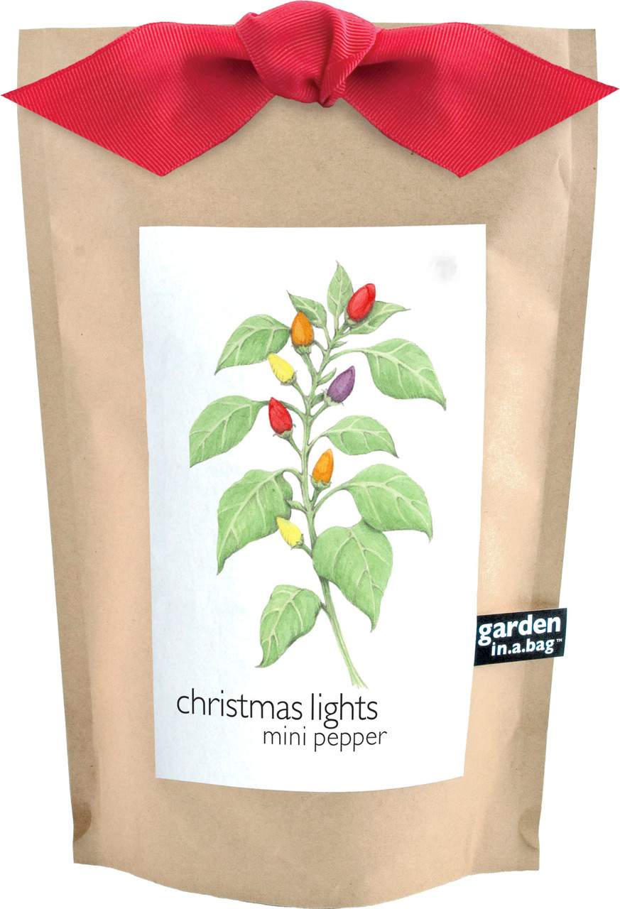 Garden-in-a-bag Christmas Lights Pepper - Potting Shed Creations, LTD