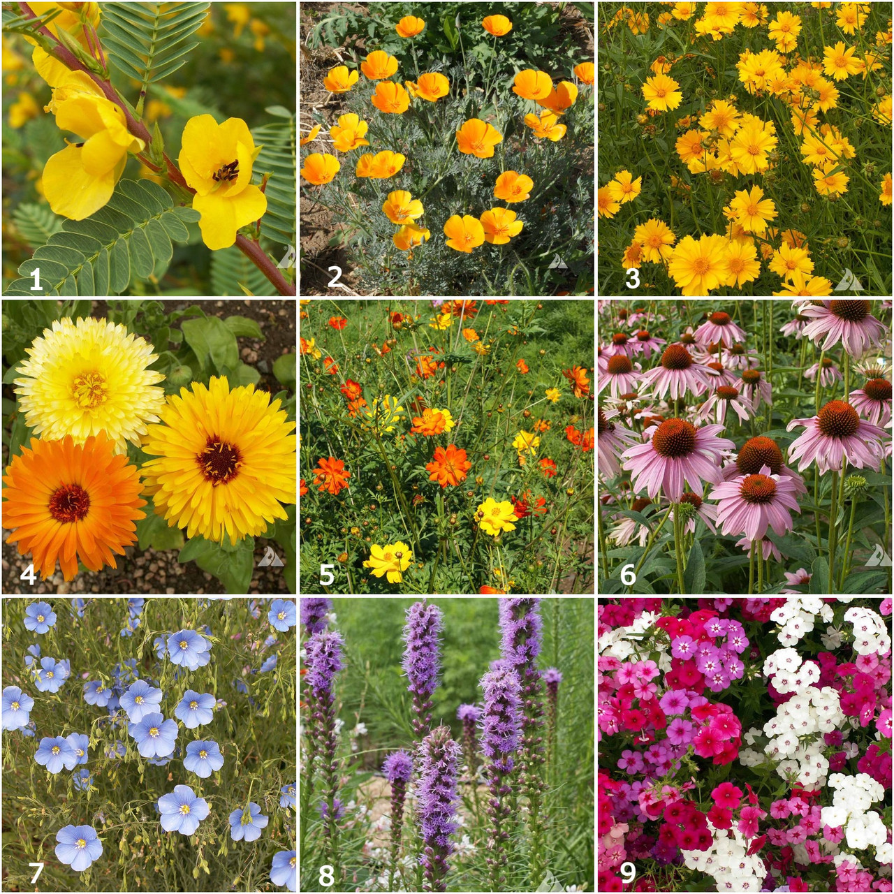 Potting Shed Creations Scatter Garden Songbird - Thumbnail 3